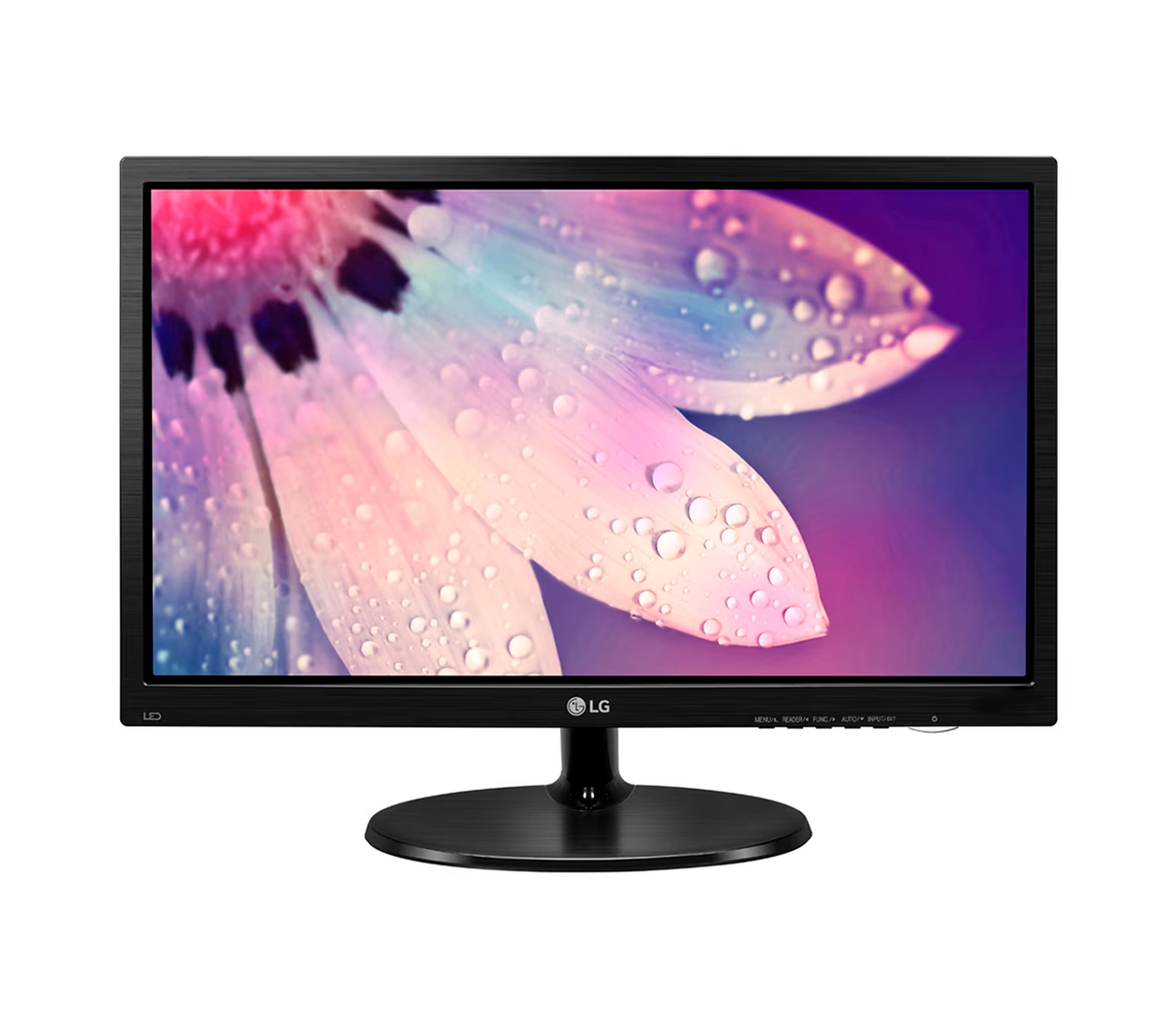 Monitor LED 19" LCD FHD LG